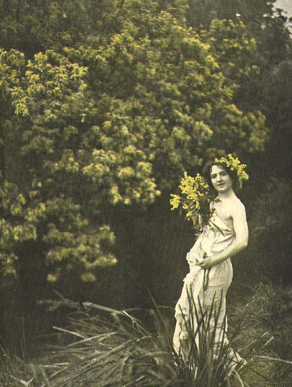 photo: Acacia dealbata 1921