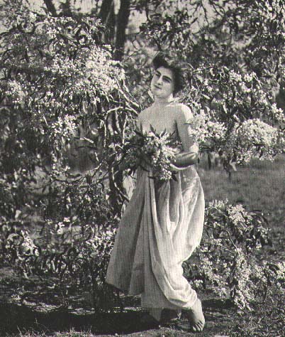 photo: Acacia pycnantha 1921