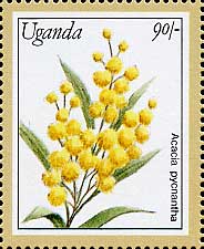 Acacia pycnantha Uganda stamp