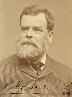 Molineux, Albert