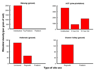 Rhizobial abundance in disturbed sites versus native vegetation