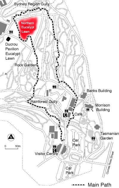 Brittle Gum Lawn map